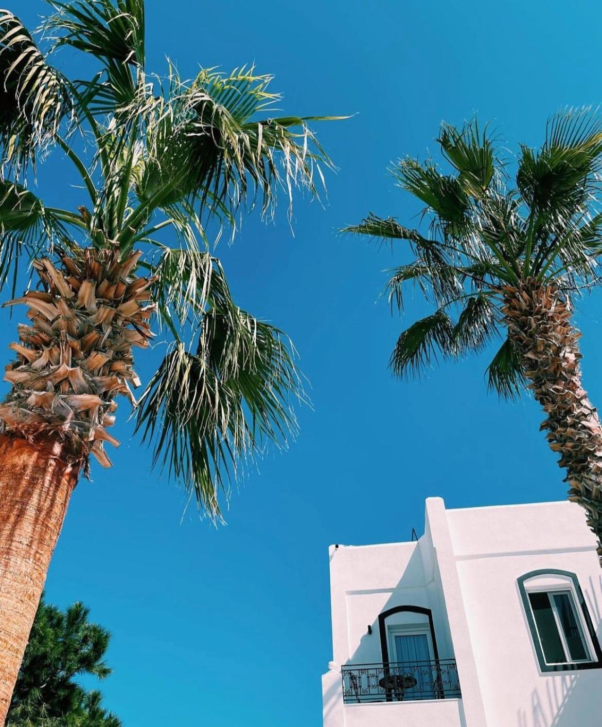 Yalinn Boutique Hotel Яликавак Екстериор снимка